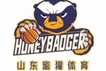 鲁媒：山东蜜獾篮球俱乐部新赛季将征战NBL联赛 主场在济南